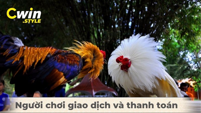 Hướng dẫn cách chơi Digmaan đá gà Cwin - Bí quyết dành phần thắng - Aovbuilds Nguoi choi giao dich va thanh toan - Aovbuilds