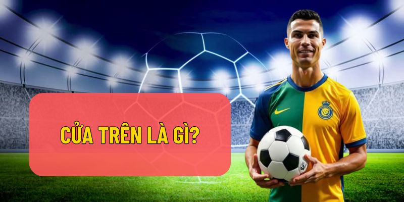 cua tren la gi - Aovbuilds