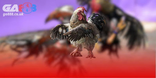Đá gà Ga888 – Sân chơi đẳng cấp cho cược thủ yêu tốc độ - Aovbuilds unnamed 1 12 - Aovbuilds