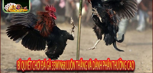 33WIN68 trải nghiệm đá gà mượt mà tối ưu thời điểm vào lệnh - Aovbuilds unnamed 1 5 - Aovbuilds