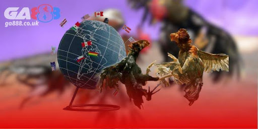 Đá gà Ga888 – Sân chơi đẳng cấp cho cược thủ yêu tốc độ - Aovbuilds unnamed 2 12 - Aovbuilds