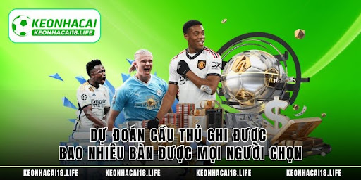 Kèo Nhà Cái - Khái Niệm Và Kinh Nghiệm Cho Người Mới - Aovbuilds unnamed 20 - Aovbuilds