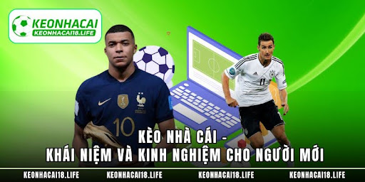 Kèo Nhà Cái - Khái Niệm Và Kinh Nghiệm Cho Người Mới - Aovbuilds unnamed 3 7 - Aovbuilds