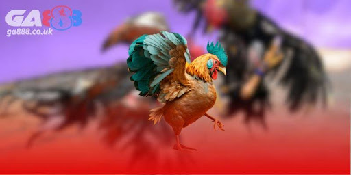 Đá gà Ga888 – Sân chơi đẳng cấp cho cược thủ yêu tốc độ - Aovbuilds unnamed 3 8 - Aovbuilds