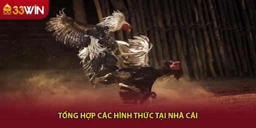 33WIN68 trải nghiệm đá gà mượt mà tối ưu thời điểm vào lệnh - Aovbuilds unnamed 9 - Aovbuilds