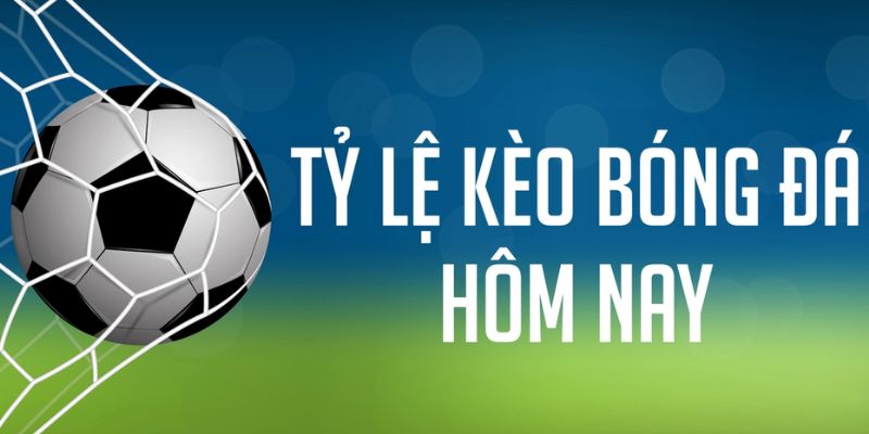 ty le keo truc tuyen 2 - Aovbuilds