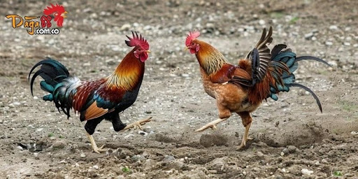 unnamed 2 2 - Aovbuilds