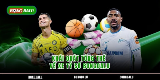 Xem Tỷ Số Bongdalu – Cập Nhật Trực Tiếp, Siêu Nhanh - Aovbuilds unnamed 24 1 - Aovbuilds