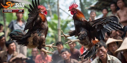 unnamed 5 1 - Aovbuilds