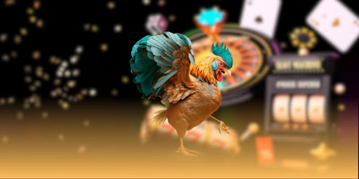 Xem Trực Tiếp Đá Gà Đòn Thomo – Trải Nghiệm Đấu Trường Kịch Tính Chuẩn - Aovbuilds unnamed 56 2 - Aovbuilds