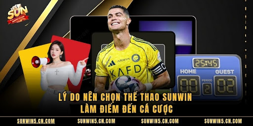 Thể Thao Sunwin – Trải Nghiệm Cá Cược Hấp Dẫn Và Kịch Tính - Aovbuilds unnamed 63 - Aovbuilds