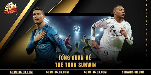 Thể Thao Sunwin – Trải Nghiệm Cá Cược Hấp Dẫn Và Kịch Tính - Aovbuilds unnamed 64 - Aovbuilds