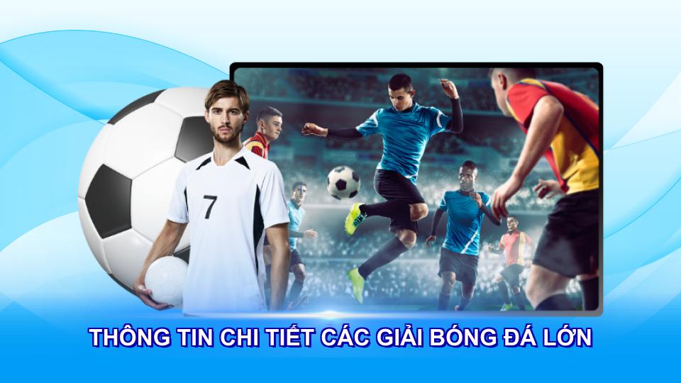 thong tin chi tiet cac giai bong da lon - Aovbuilds