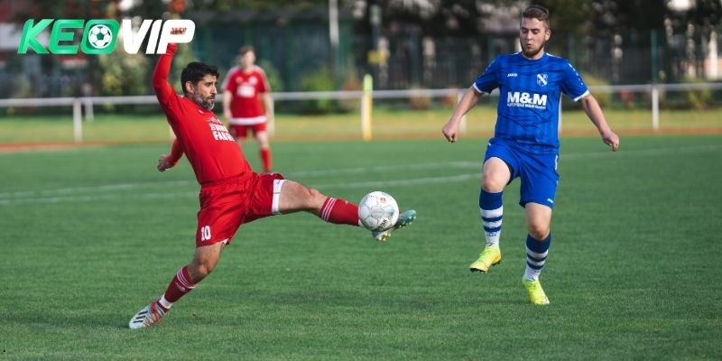 Tỷ Lệ Kèo Nhà Cái 5 Và Những Điều Người Chơi Cần Hiểu Rõ - Aovbuilds ty le keo nha cai 5 1 - Aovbuilds