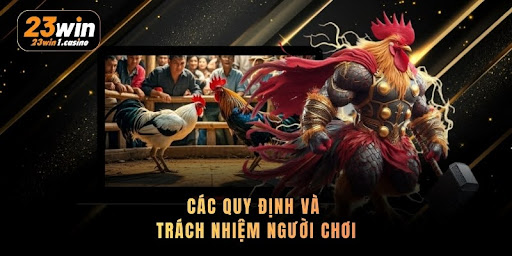 Đá Gà Cựa Dao - Luật Chơi Đúng, Mẹo Cược Thắng Lớn - Aovbuilds unnamed 25 2 - Aovbuilds