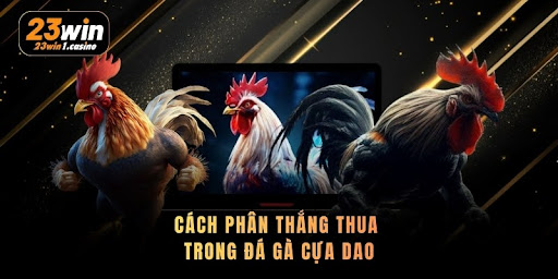 Đá Gà Cựa Dao - Luật Chơi Đúng, Mẹo Cược Thắng Lớn - Aovbuilds unnamed 26 1 - Aovbuilds