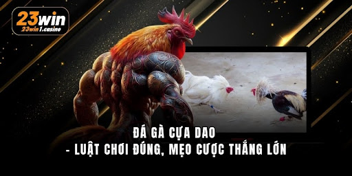 Đá Gà Cựa Dao - Luật Chơi Đúng, Mẹo Cược Thắng Lớn - Aovbuilds unnamed 28 - Aovbuilds
