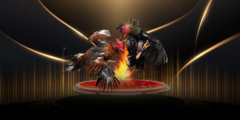 Đá gà cựa sắt BJ88 – tốc độ cao, thế trận rõ và bản lĩnh người theo dõi - Aovbuilds image 20 - Aovbuilds