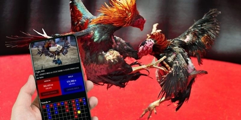 Đá gà cựa sắt BJ88 – tốc độ cao, thế trận rõ và bản lĩnh người theo dõi - Aovbuilds image 21 - Aovbuilds