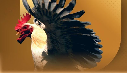 unnamed 15 - Aovbuilds