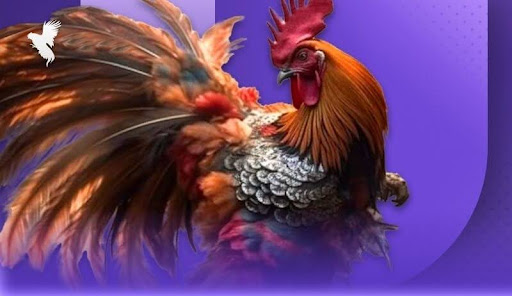 unnamed 16 - Aovbuilds