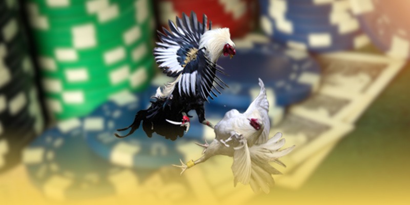 image 73 - Aovbuilds