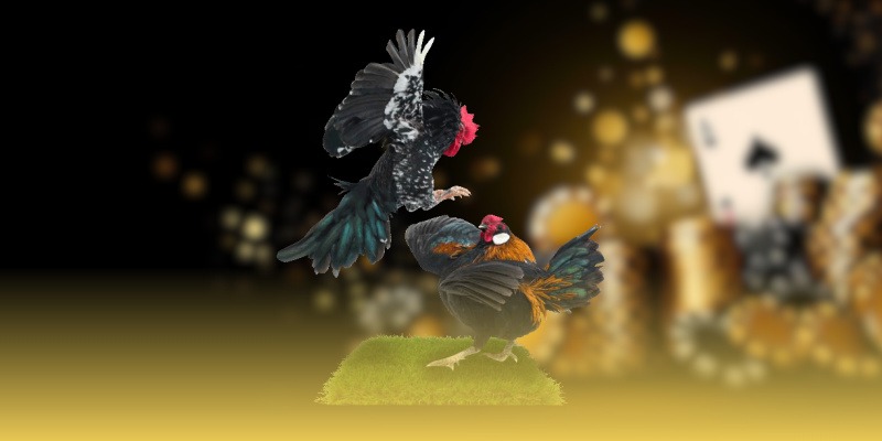 image 74 - Aovbuilds