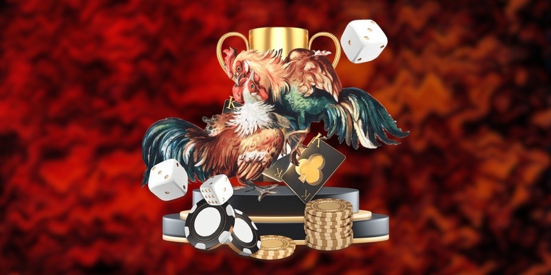 image 126 - Aovbuilds