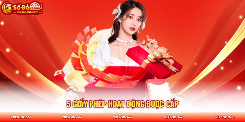 Giấy Phép Hoạt Động SODO66 - 5 Chứng Chỉ Khẳng Định Uy Tín - Aovbuilds image 138 - Aovbuilds