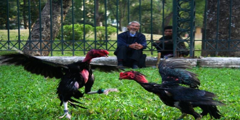 image 179 - Aovbuilds