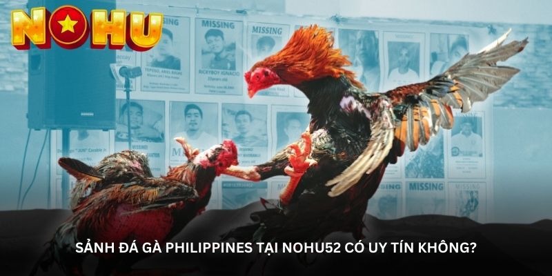 image 18 - Aovbuilds