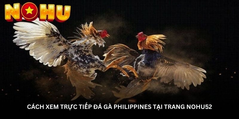 image 19 - Aovbuilds