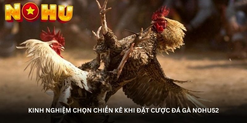 image 20 - Aovbuilds