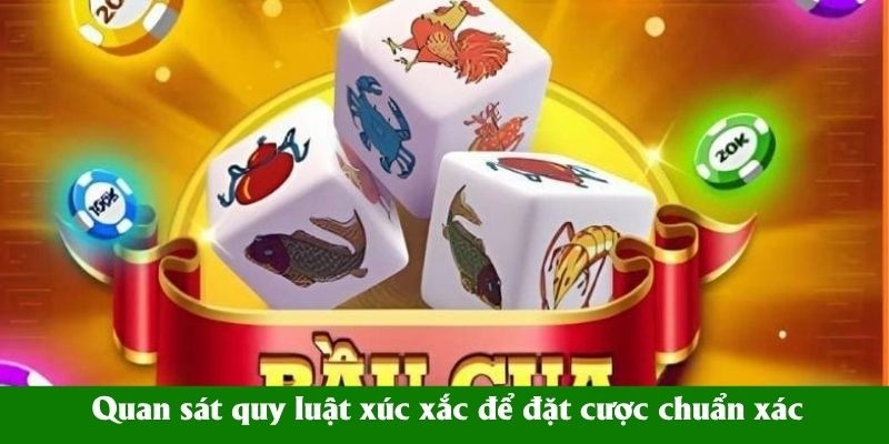 image 232 - Aovbuilds