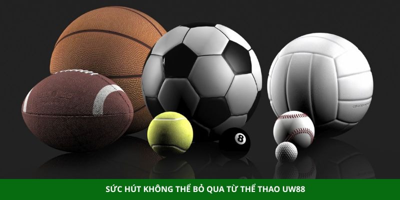 Thể Thao Uw88 - Đẳng Cấp Sân Chơi Cá Cược Hàng Đầu - Aovbuilds image 240 - Aovbuilds