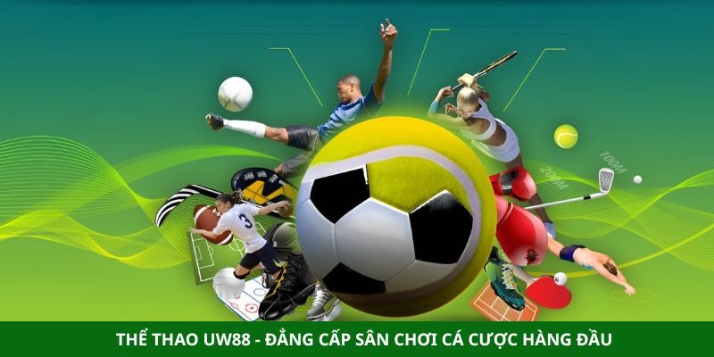 Thể Thao Uw88 - Đẳng Cấp Sân Chơi Cá Cược Hàng Đầu - Aovbuilds image 241 - Aovbuilds