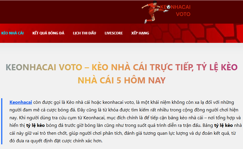 Nhật ký 30 ngày lột xác: Từ con bạc khát nước đến nhà đầu tư kỷ luật - Aovbuilds image 81 - Aovbuilds