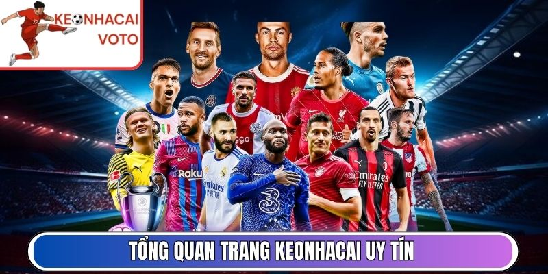 Nhật ký 30 ngày lột xác: Từ con bạc khát nước đến nhà đầu tư kỷ luật - Aovbuilds image 83 - Aovbuilds