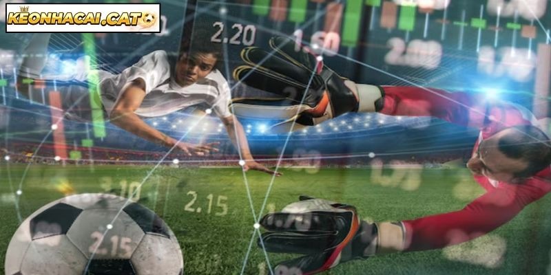 image 209 - Aovbuilds