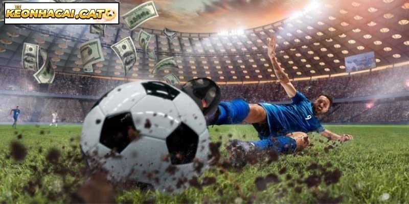 image 211 - Aovbuilds