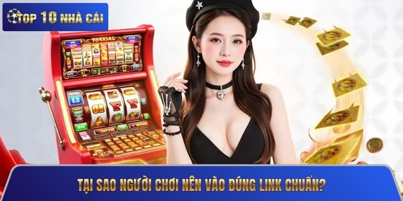 image 214 - Aovbuilds