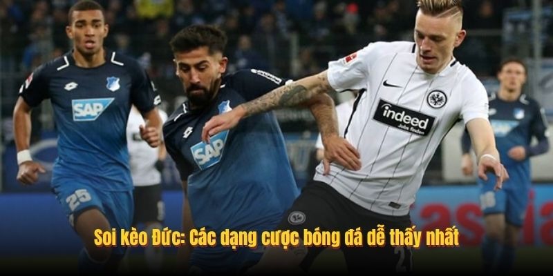 image 241 - Aovbuilds