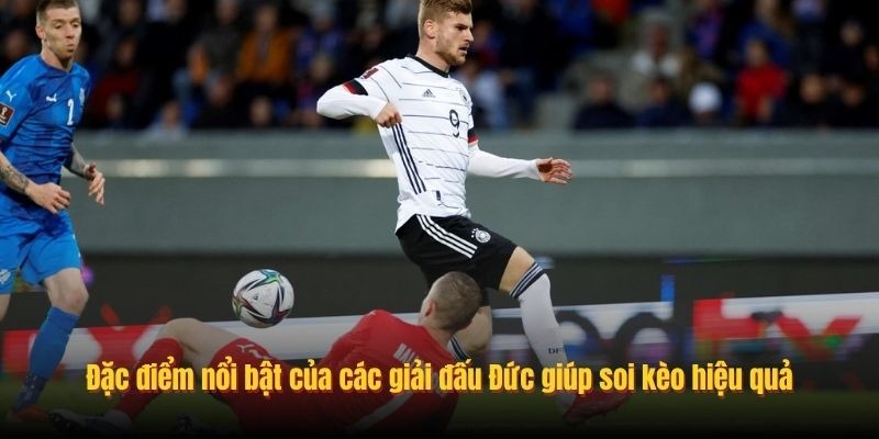 image 242 - Aovbuilds