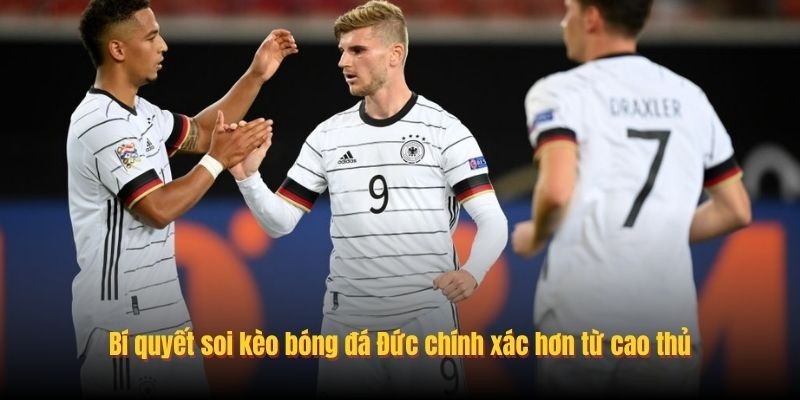 image 243 - Aovbuilds