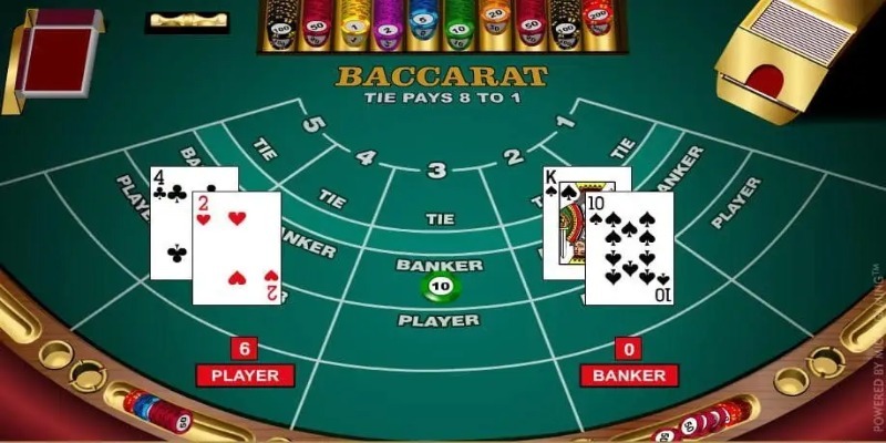 Baccarat Rg8369 là gì? Cách chơi đơn giản tại nhà cái uy tín - Aovbuilds image 86 - Aovbuilds