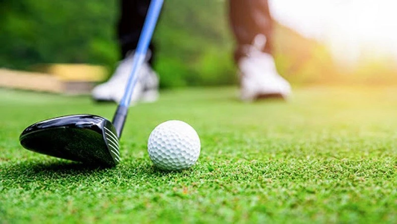 Cá Cược Golf - Giải Trí Thể Thao Độc Đáo Hấp Dẫn Mỗi Ván - Aovbuilds image 135 - Aovbuilds